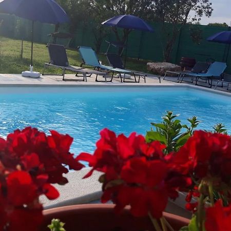 Holiday Home Dioniza Vodnjan Esterno foto