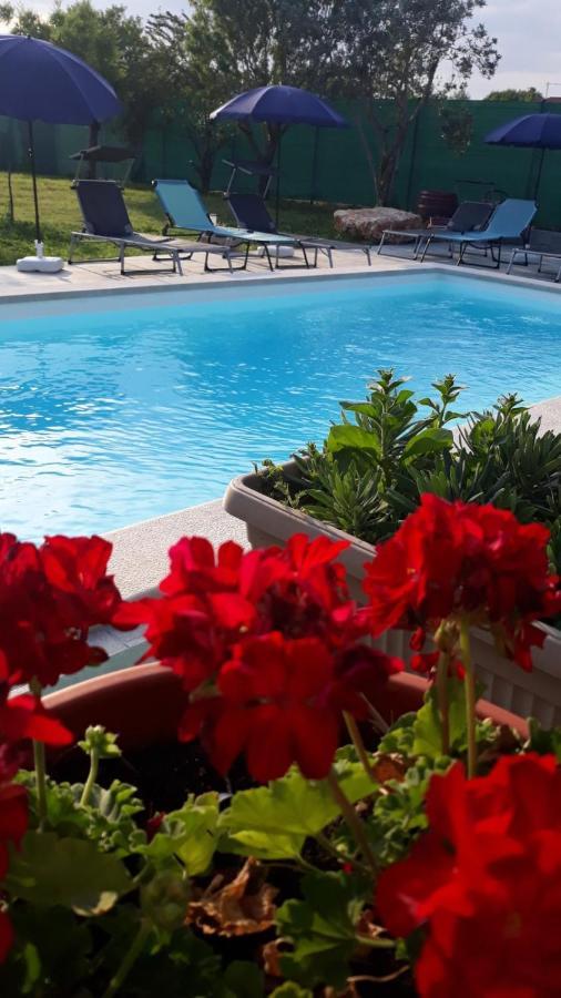 Holiday Home Dioniza Vodnjan Esterno foto