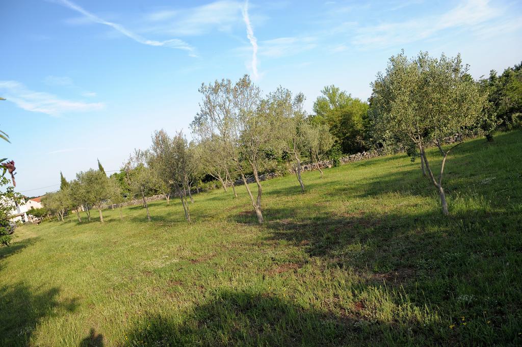 Holiday Home Dioniza Vodnjan Camera foto